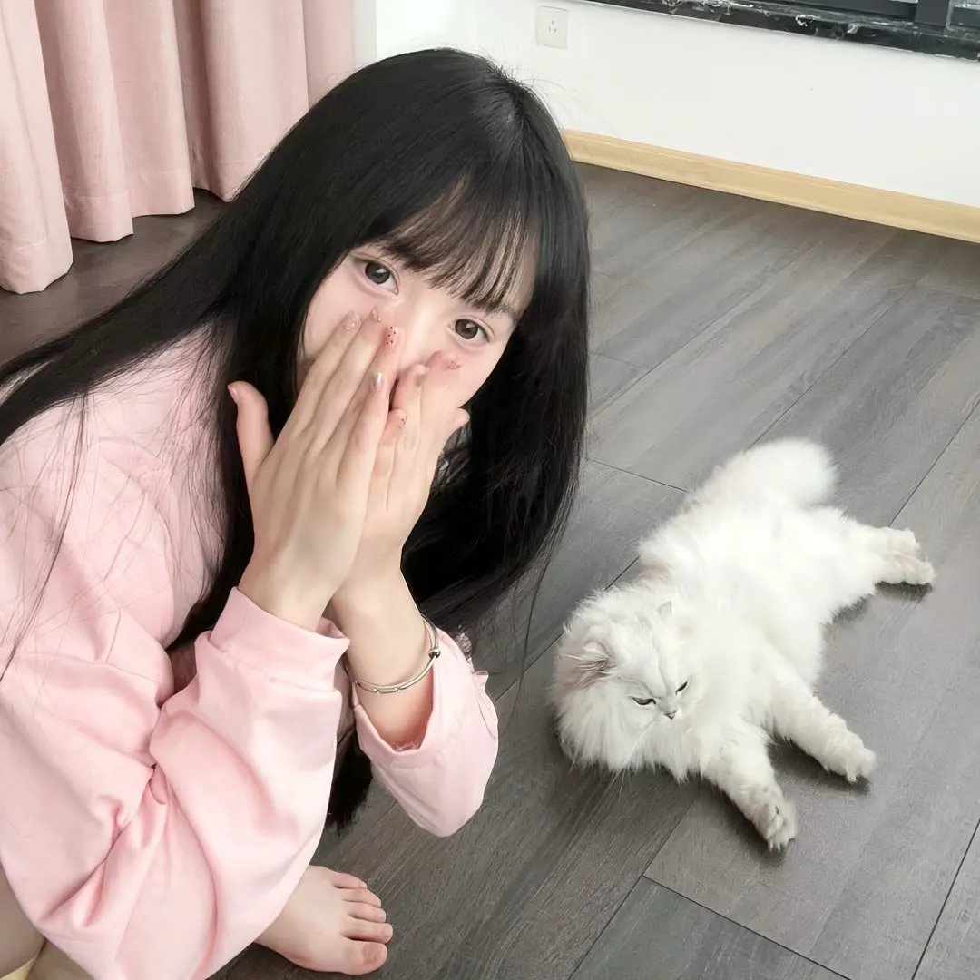 猫侍 第二季 在线观看