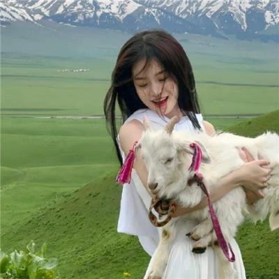 幸福是一条温暖的毛毯 在线观看